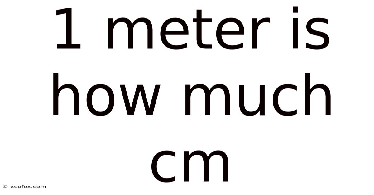 1 Meter Is How Much Cm