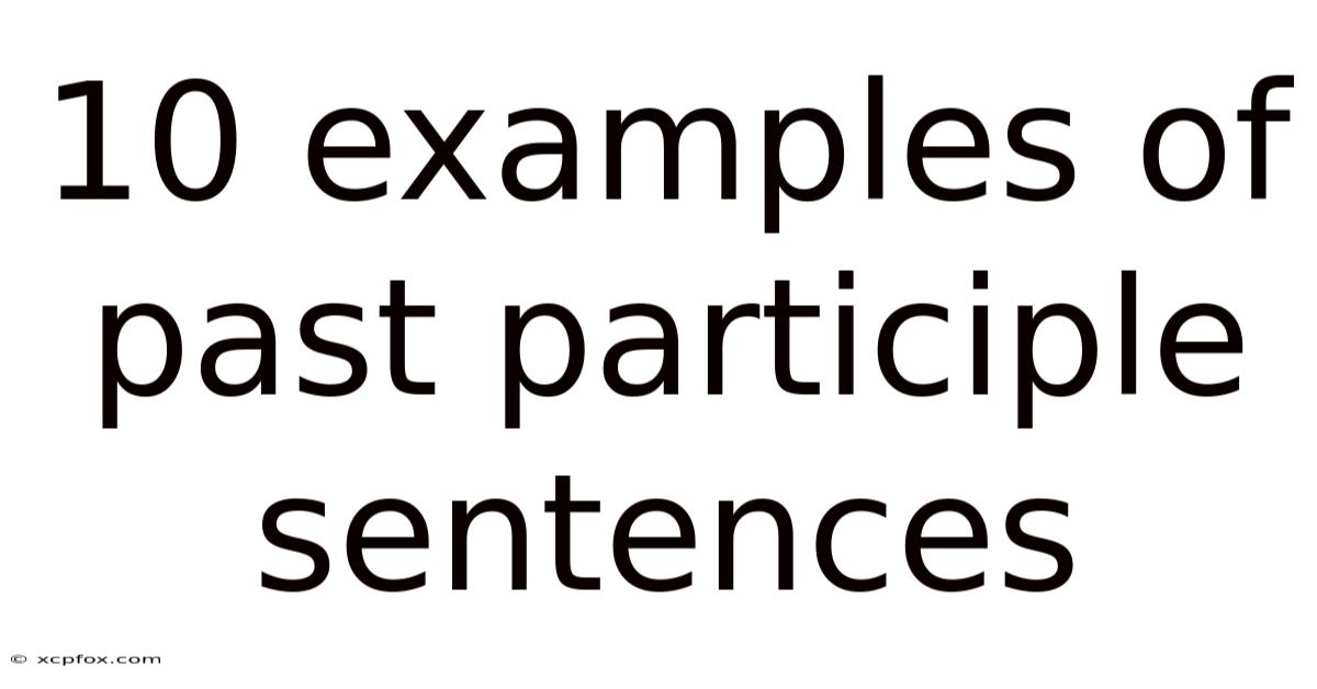 10 Examples Of Past Participle Sentences