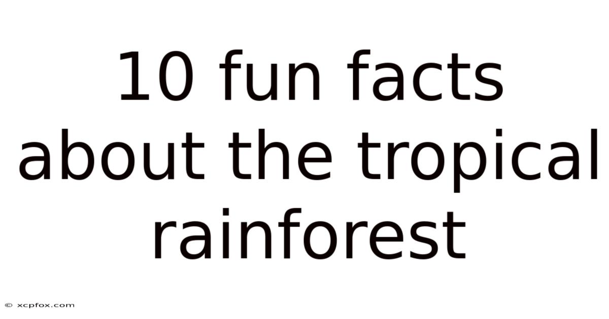 10 Fun Facts About The Tropical Rainforest