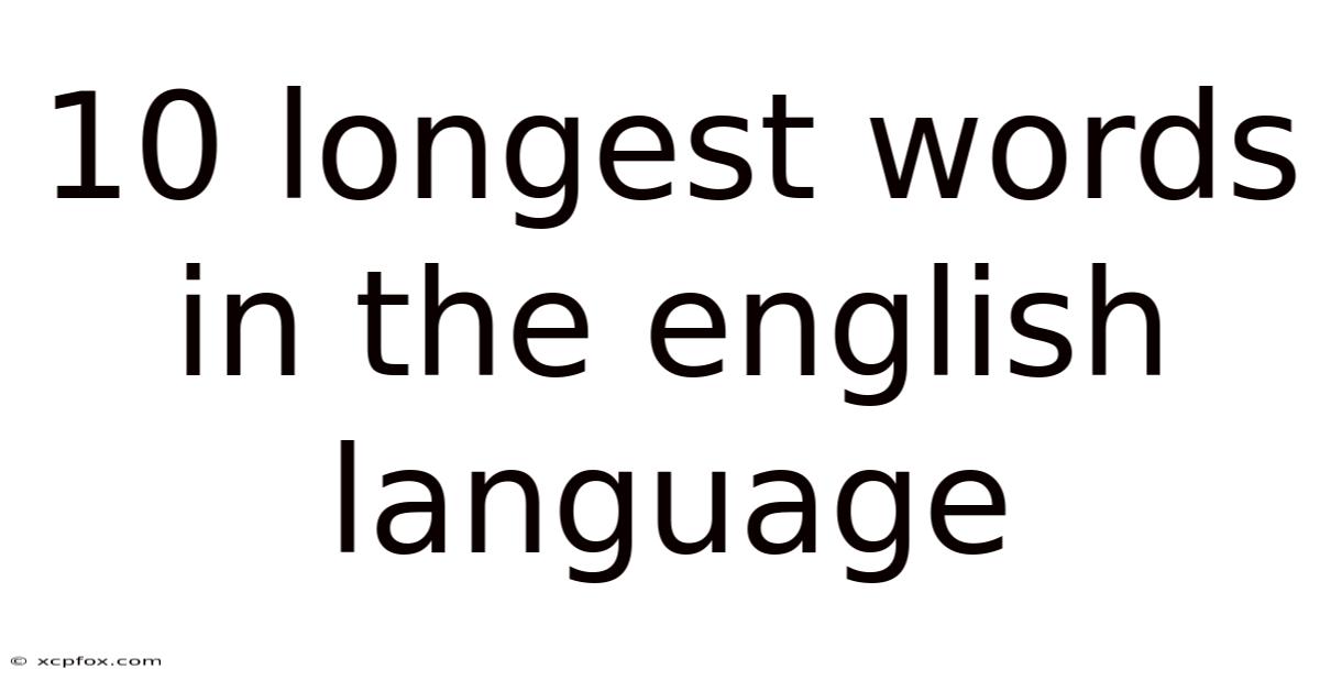 10 Longest Words In The English Language