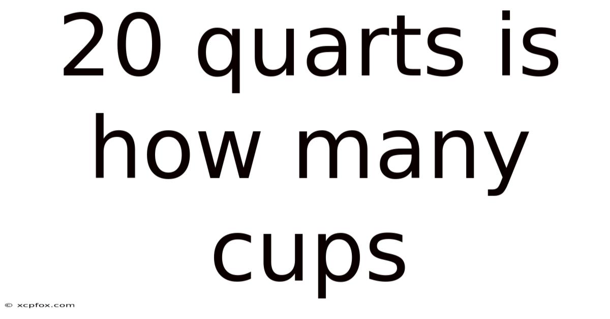20 Quarts Is How Many Cups