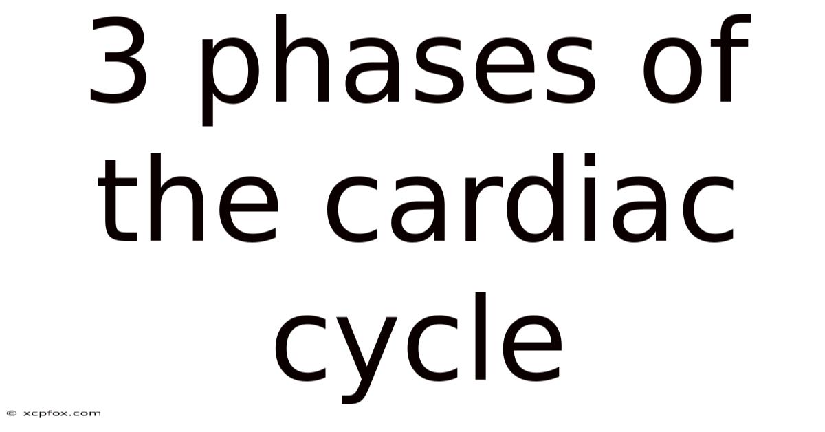 3 Phases Of The Cardiac Cycle