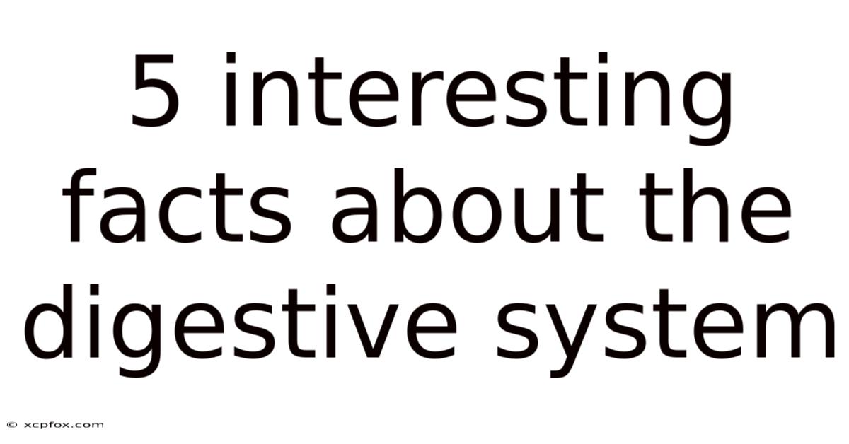 5 Interesting Facts About The Digestive System