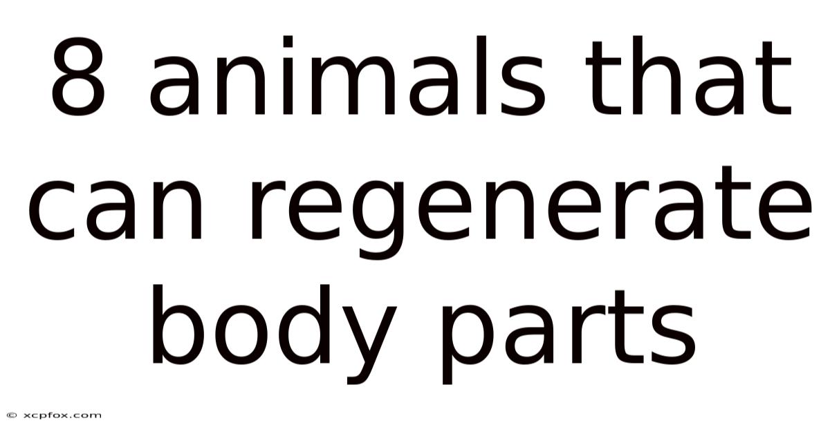 8 Animals That Can Regenerate Body Parts