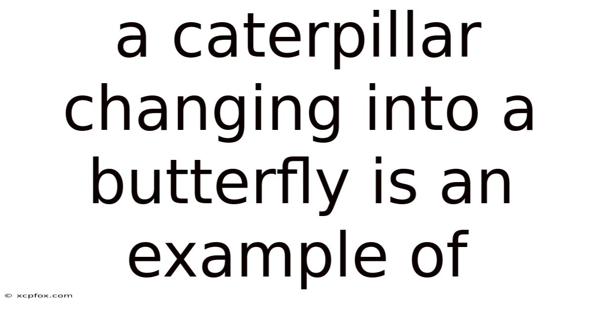 A Caterpillar Changing Into A Butterfly Is An Example Of