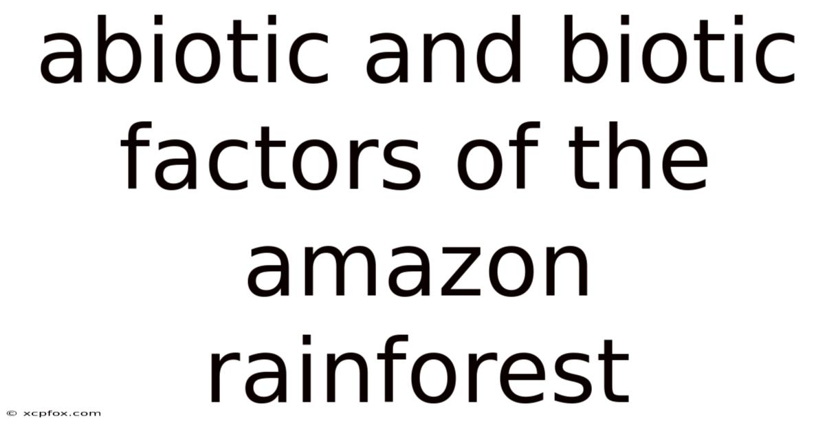 Abiotic And Biotic Factors Of The Amazon Rainforest