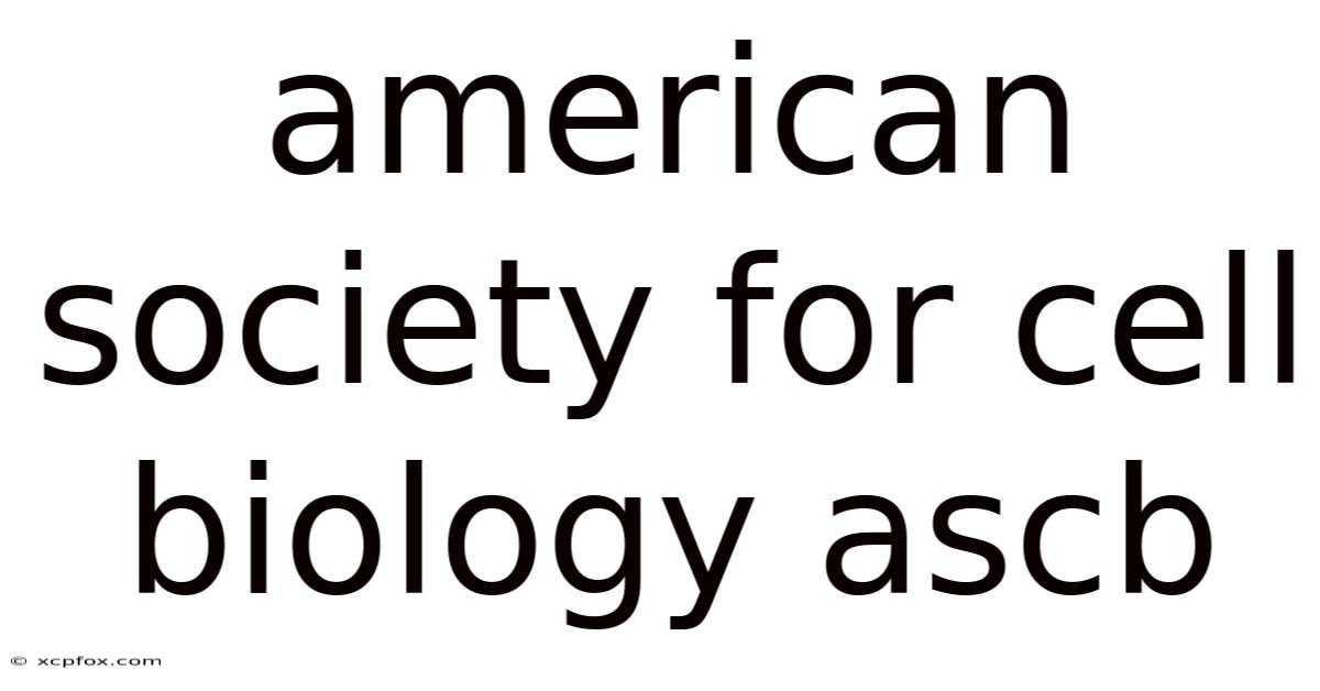 American Society For Cell Biology Ascb