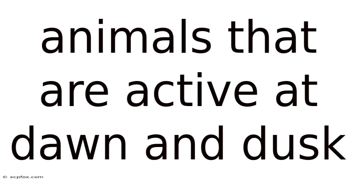 Animals That Are Active At Dawn And Dusk