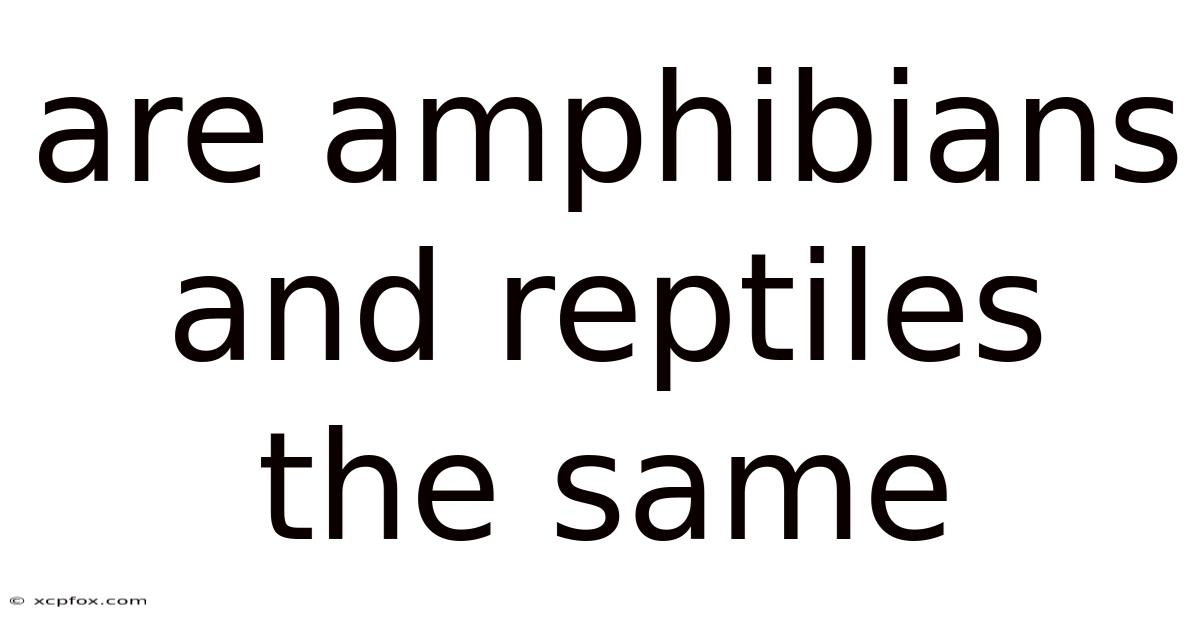Are Amphibians And Reptiles The Same