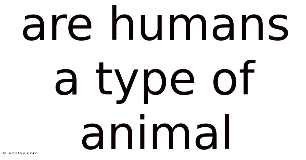 Are Humans A Type Of Animal