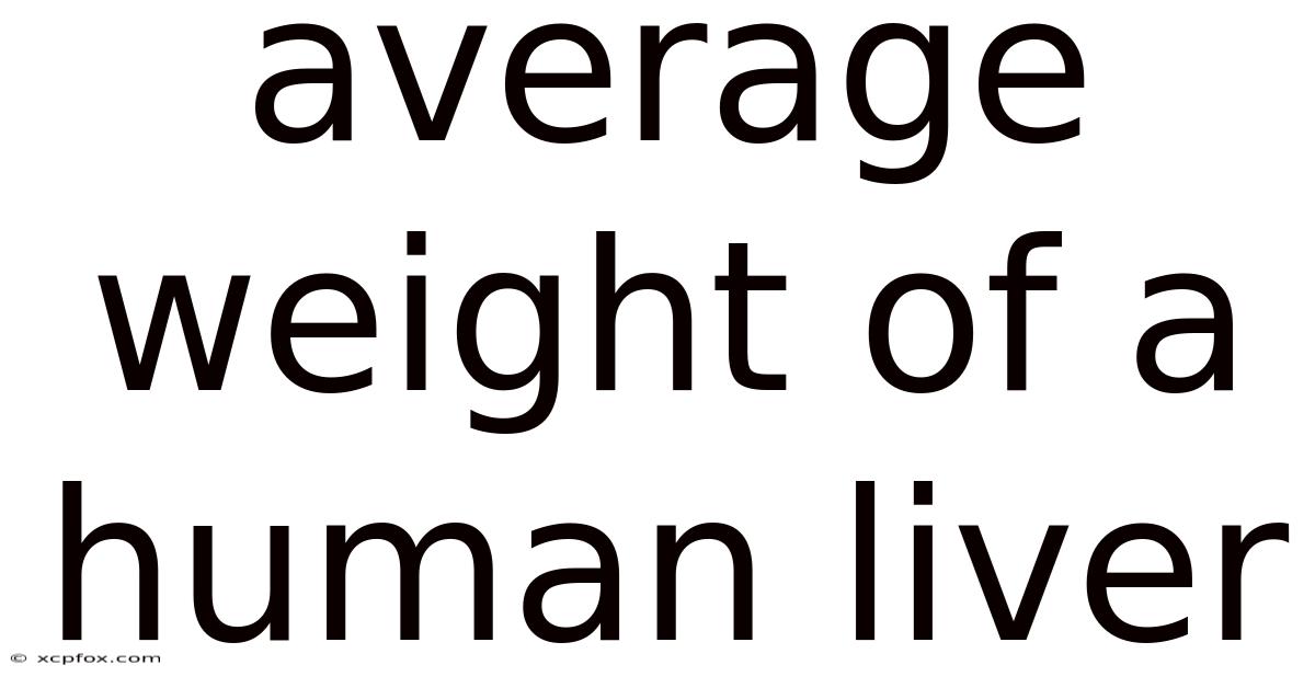 Average Weight Of A Human Liver