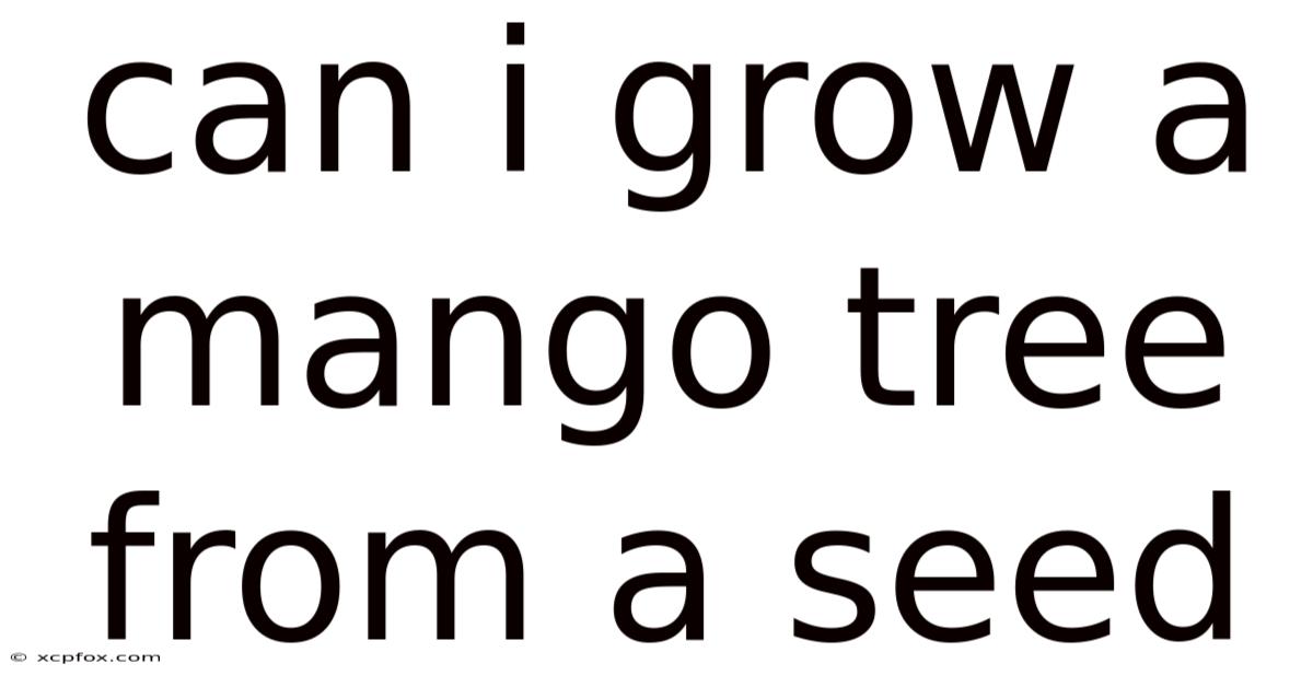 Can I Grow A Mango Tree From A Seed