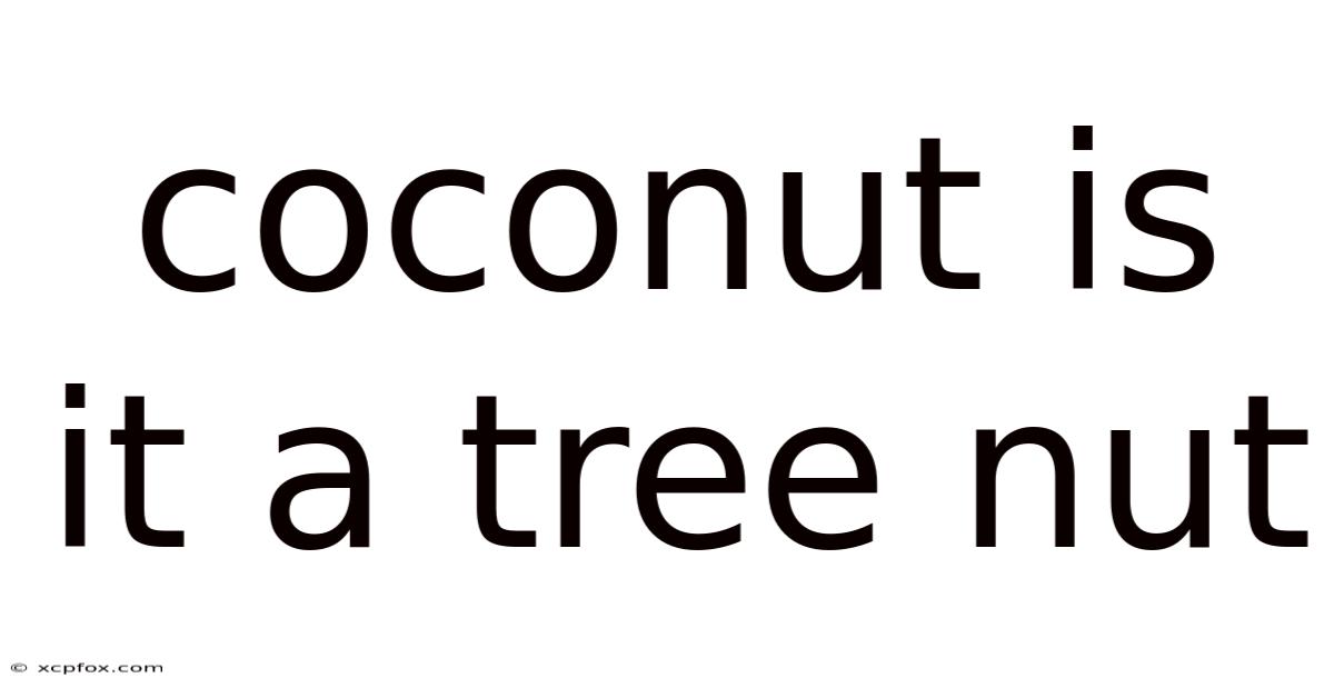 Coconut Is It A Tree Nut