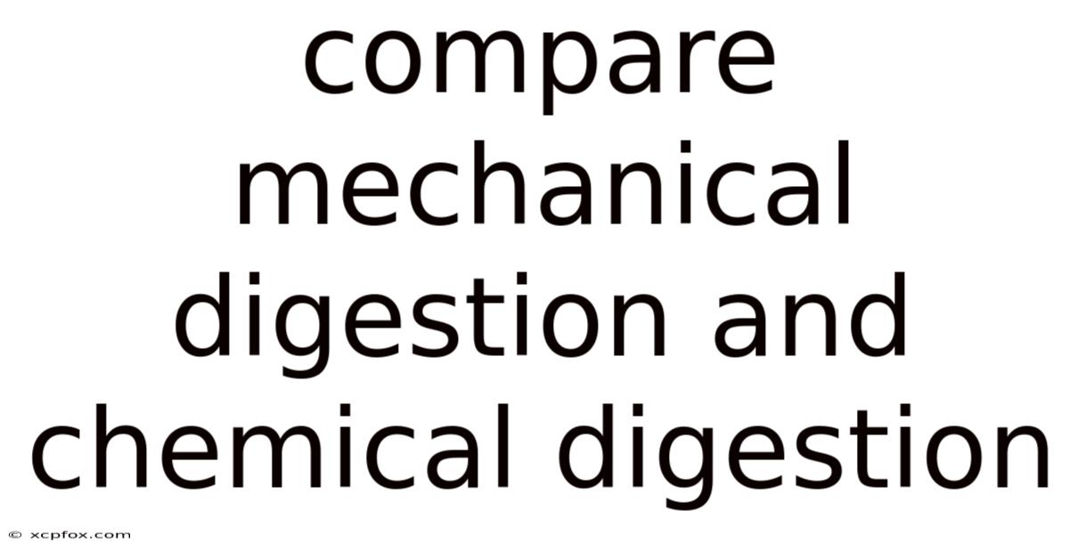 Compare Mechanical Digestion And Chemical Digestion