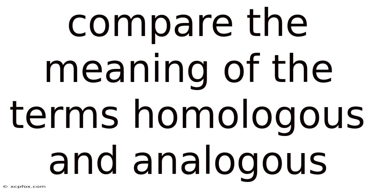 Compare The Meaning Of The Terms Homologous And Analogous