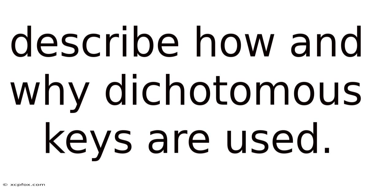 Describe How And Why Dichotomous Keys Are Used