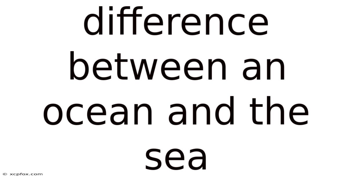 Difference Between An Ocean And The Sea