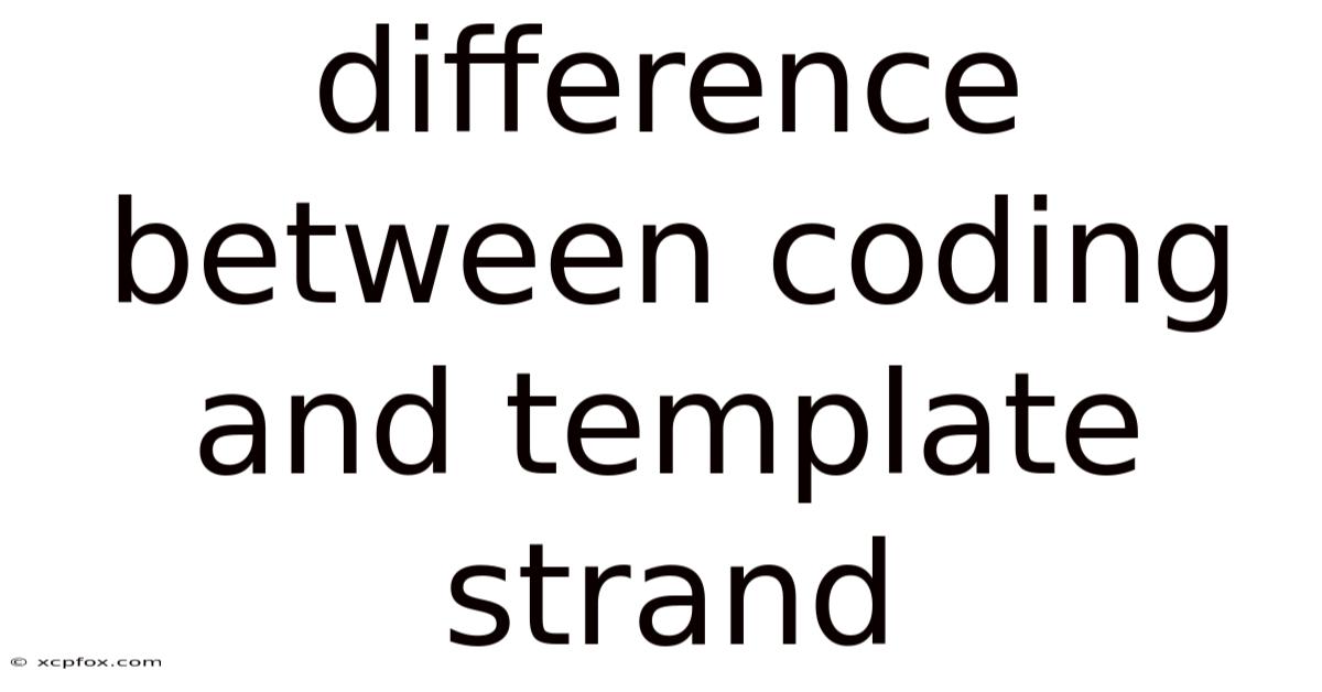 Difference Between Coding And Template Strand