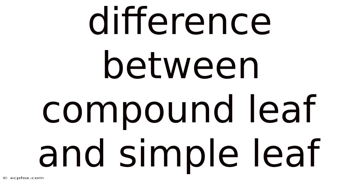 Difference Between Compound Leaf And Simple Leaf