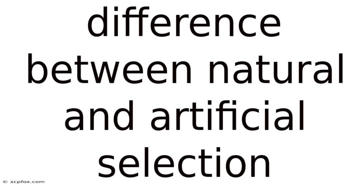 Difference Between Natural And Artificial Selection