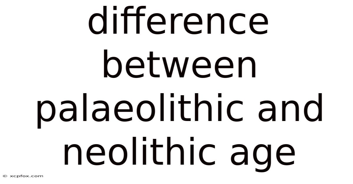 Difference Between Palaeolithic And Neolithic Age