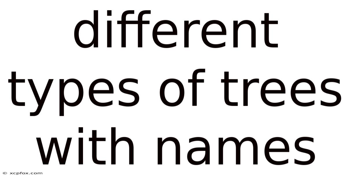 Different Types Of Trees With Names