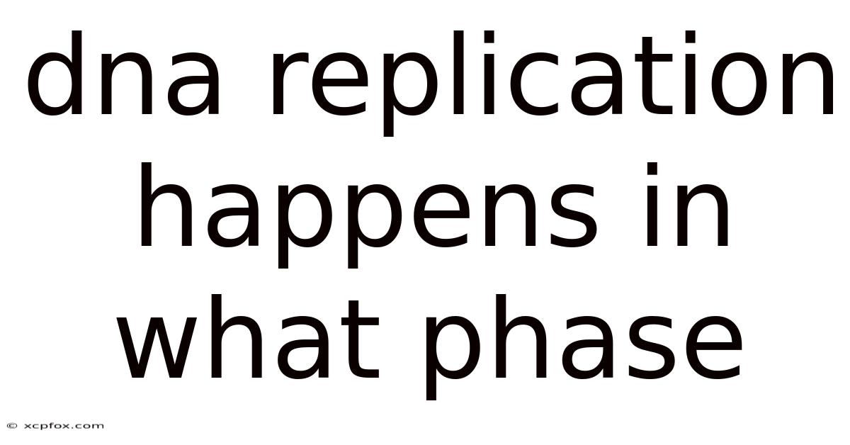 Dna Replication Happens In What Phase