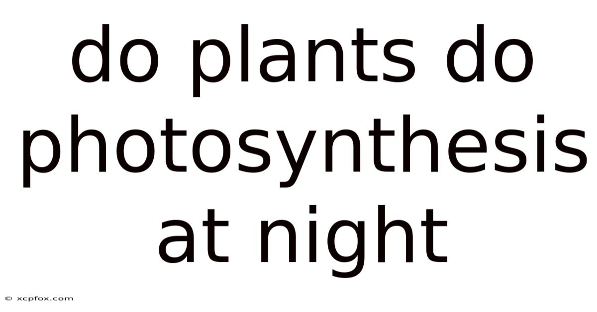 Do Plants Do Photosynthesis At Night