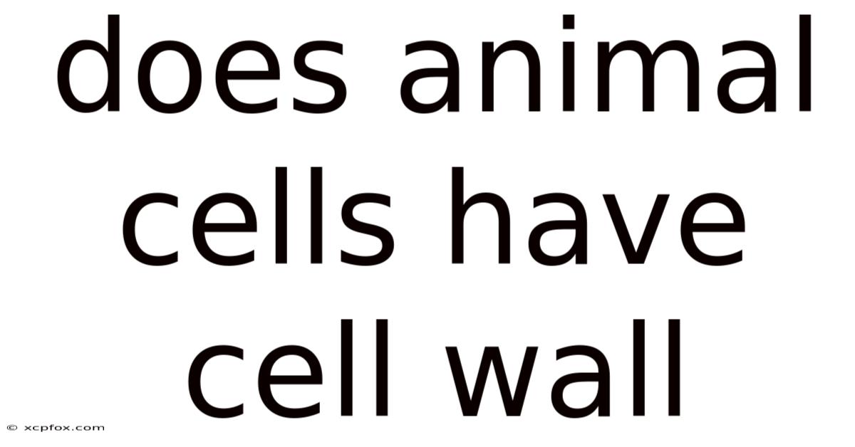 Does Animal Cells Have Cell Wall