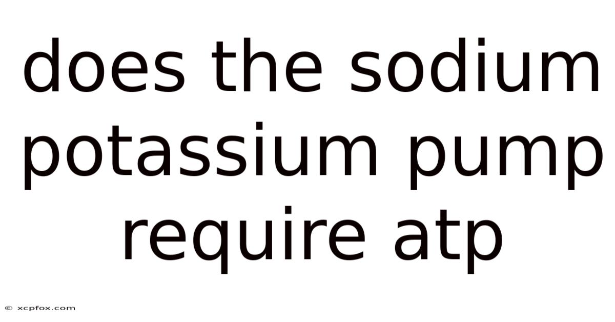 Does The Sodium Potassium Pump Require Atp