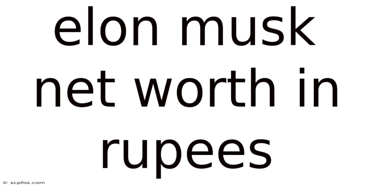 Elon Musk Net Worth In Rupees