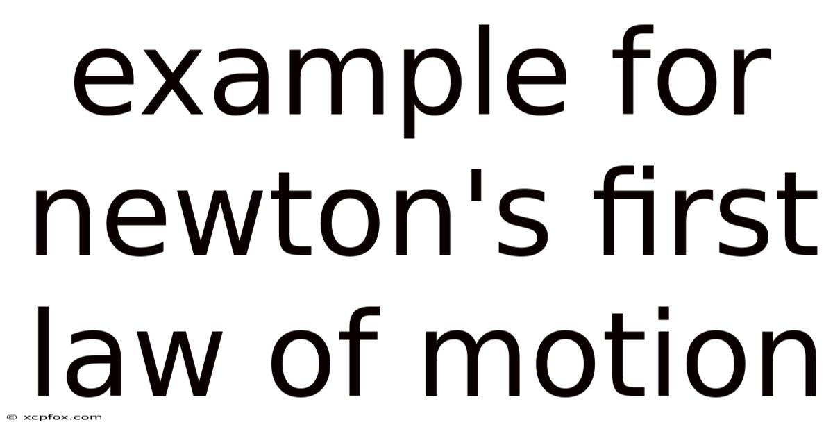 Example For Newton's First Law Of Motion