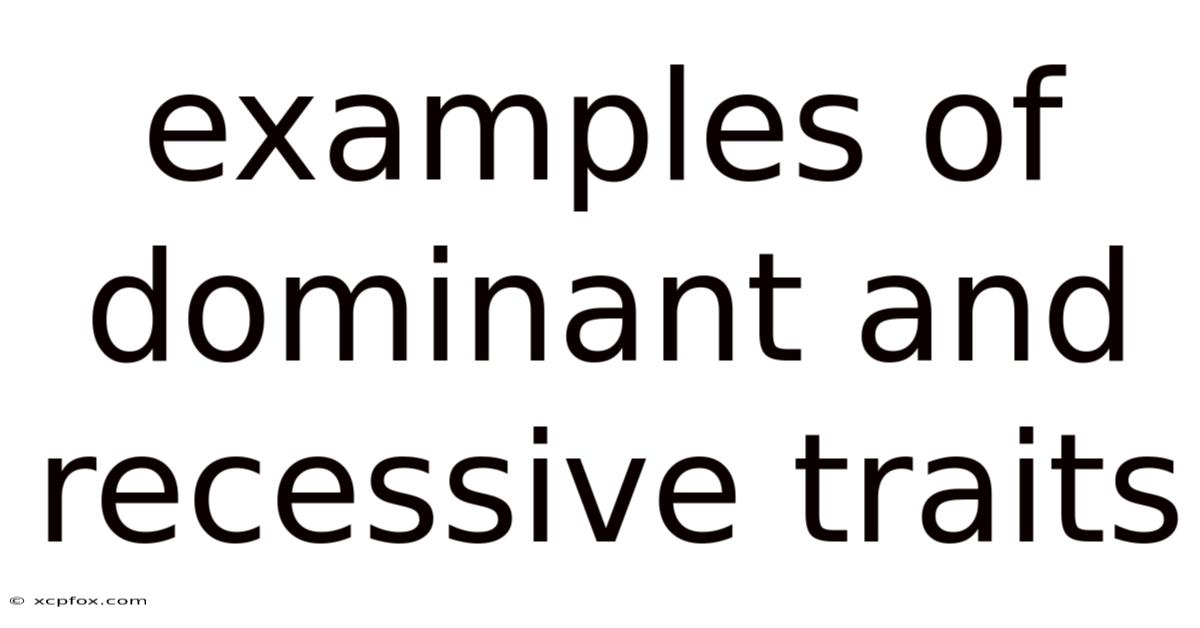 Examples Of Dominant And Recessive Traits