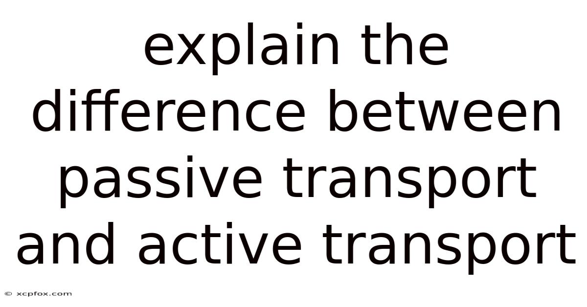 Explain The Difference Between Passive Transport And Active Transport