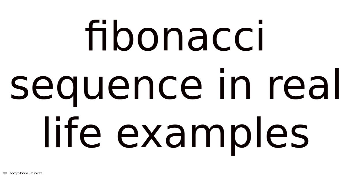 Fibonacci Sequence In Real Life Examples