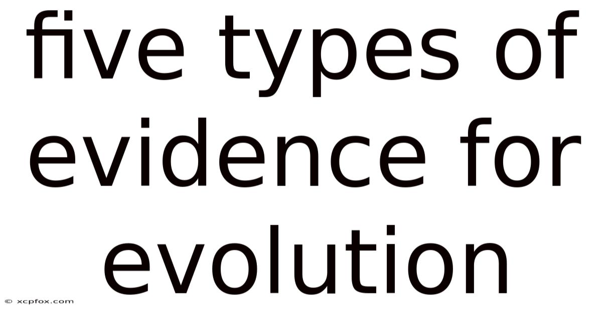 Five Types Of Evidence For Evolution