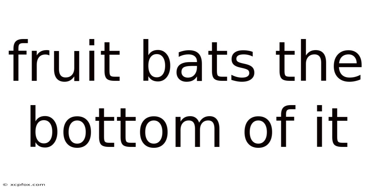 Fruit Bats The Bottom Of It