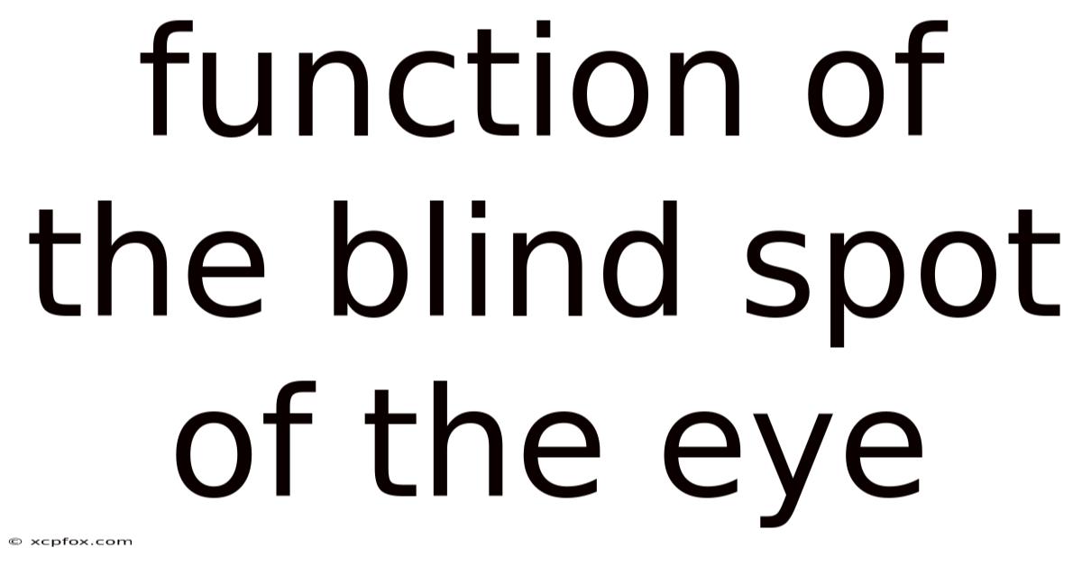 Function Of The Blind Spot Of The Eye