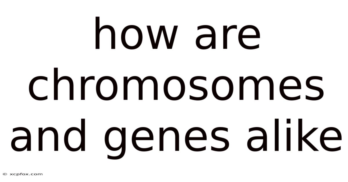 How Are Chromosomes And Genes Alike