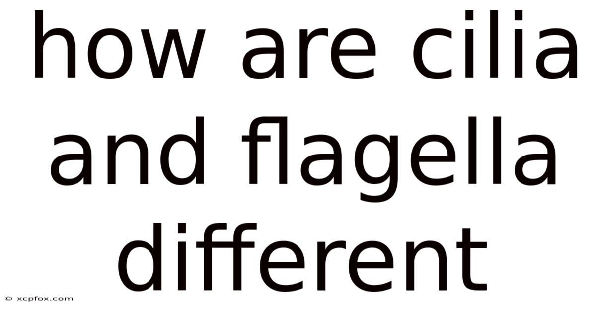 How Are Cilia And Flagella Different