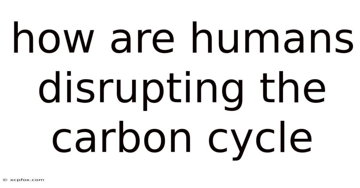 How Are Humans Disrupting The Carbon Cycle