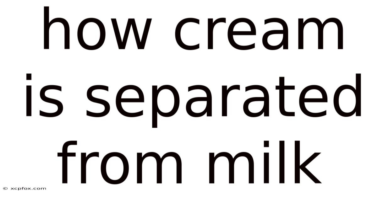 How Cream Is Separated From Milk