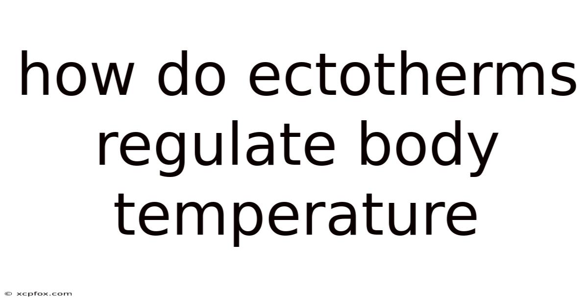 How Do Ectotherms Regulate Body Temperature