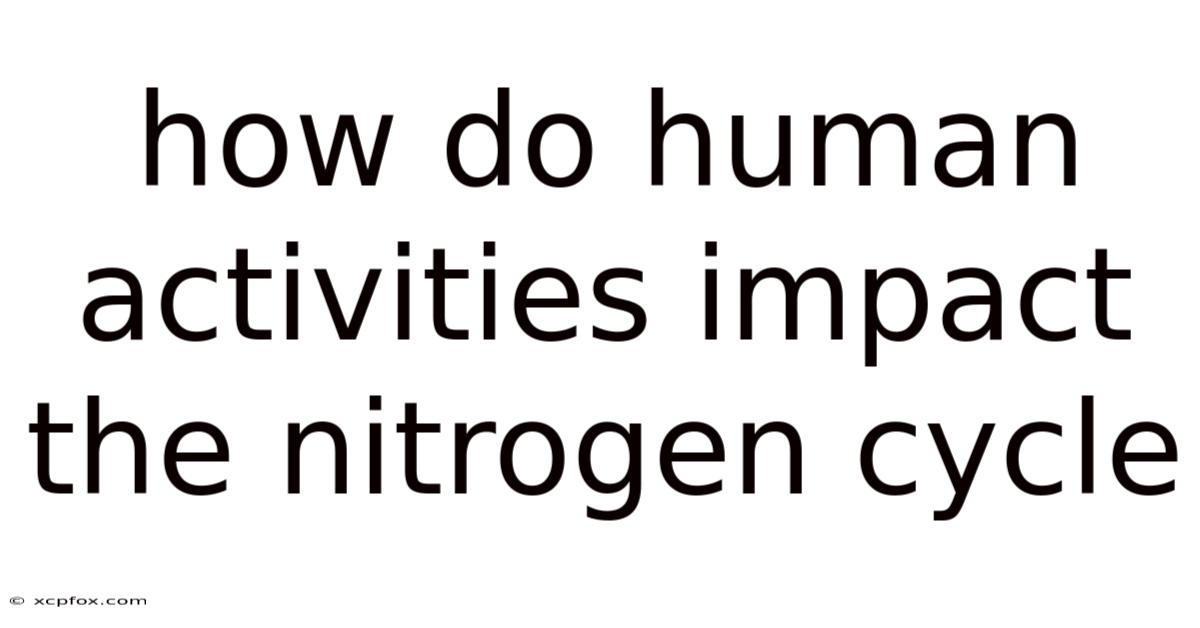How Do Human Activities Impact The Nitrogen Cycle