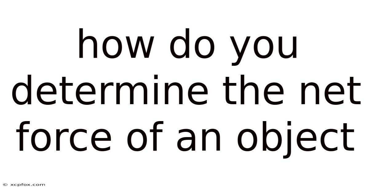 How Do You Determine The Net Force Of An Object