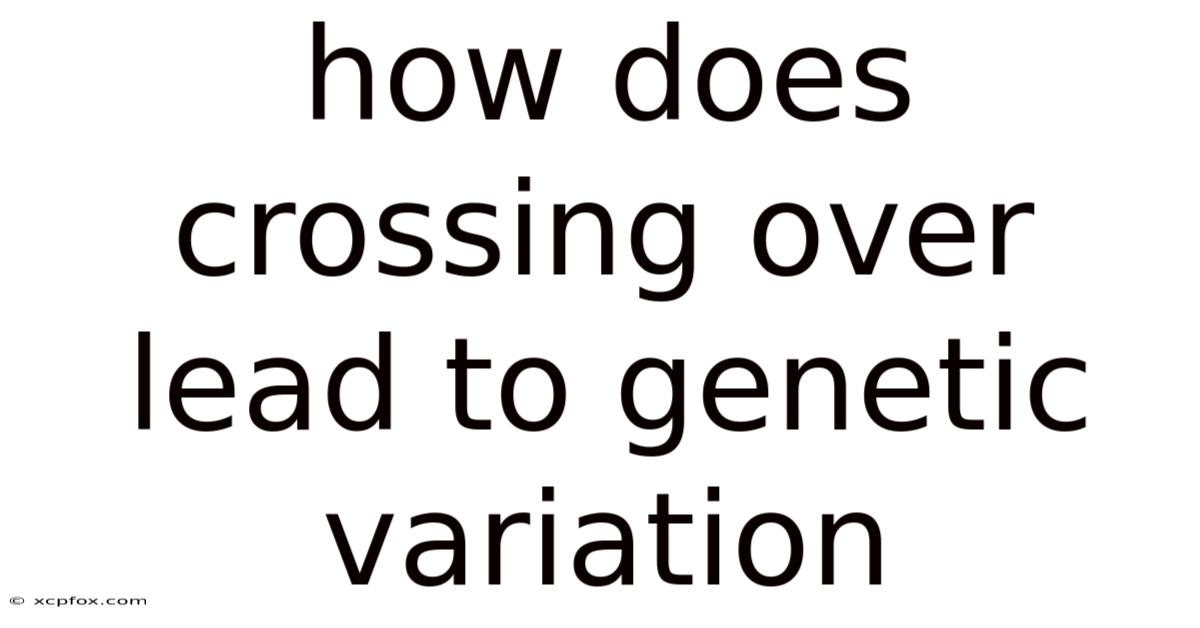 How Does Crossing Over Lead To Genetic Variation