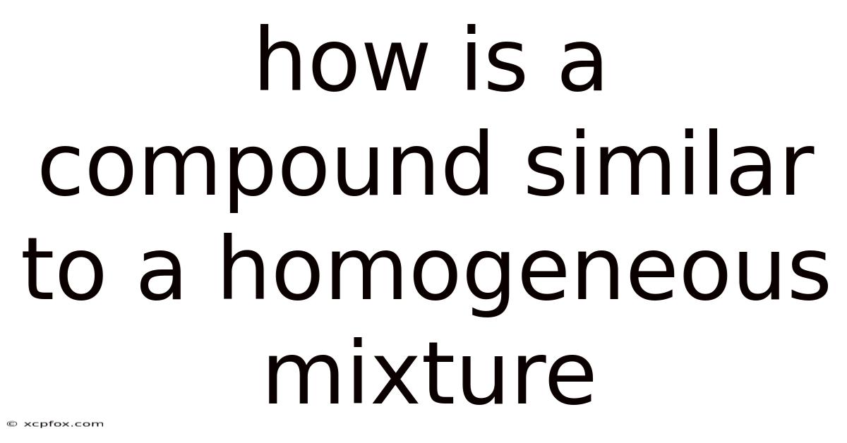 How Is A Compound Similar To A Homogeneous Mixture