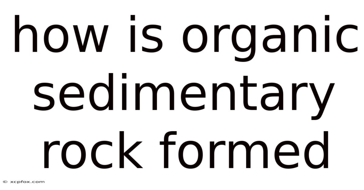 How Is Organic Sedimentary Rock Formed