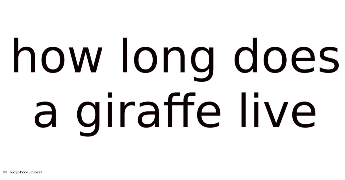 How Long Does A Giraffe Live