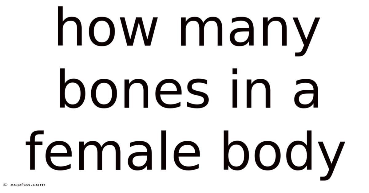 How Many Bones In A Female Body